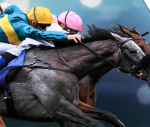 A £10 risk-free bet on your loses on horse racing.